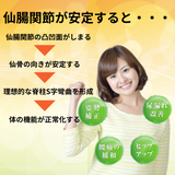仙腸関節ベルト