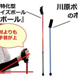 カワハラポール