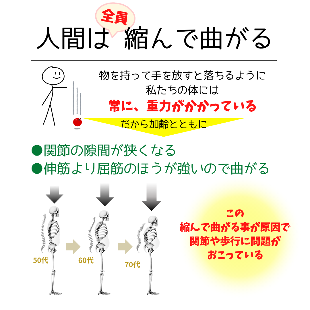 カワハラポール – 株)リハビリインソール カワハラポール – 株)リハビリインソール