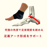 足元安定プレミアムセット