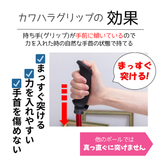 カワハラポール