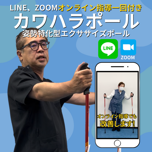 カワハラポール（LINEまたはZOOM指導１回付）