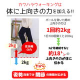 カワハラポール