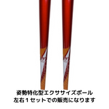 カワハラポール（LINEまたはZOOM指導１回付）