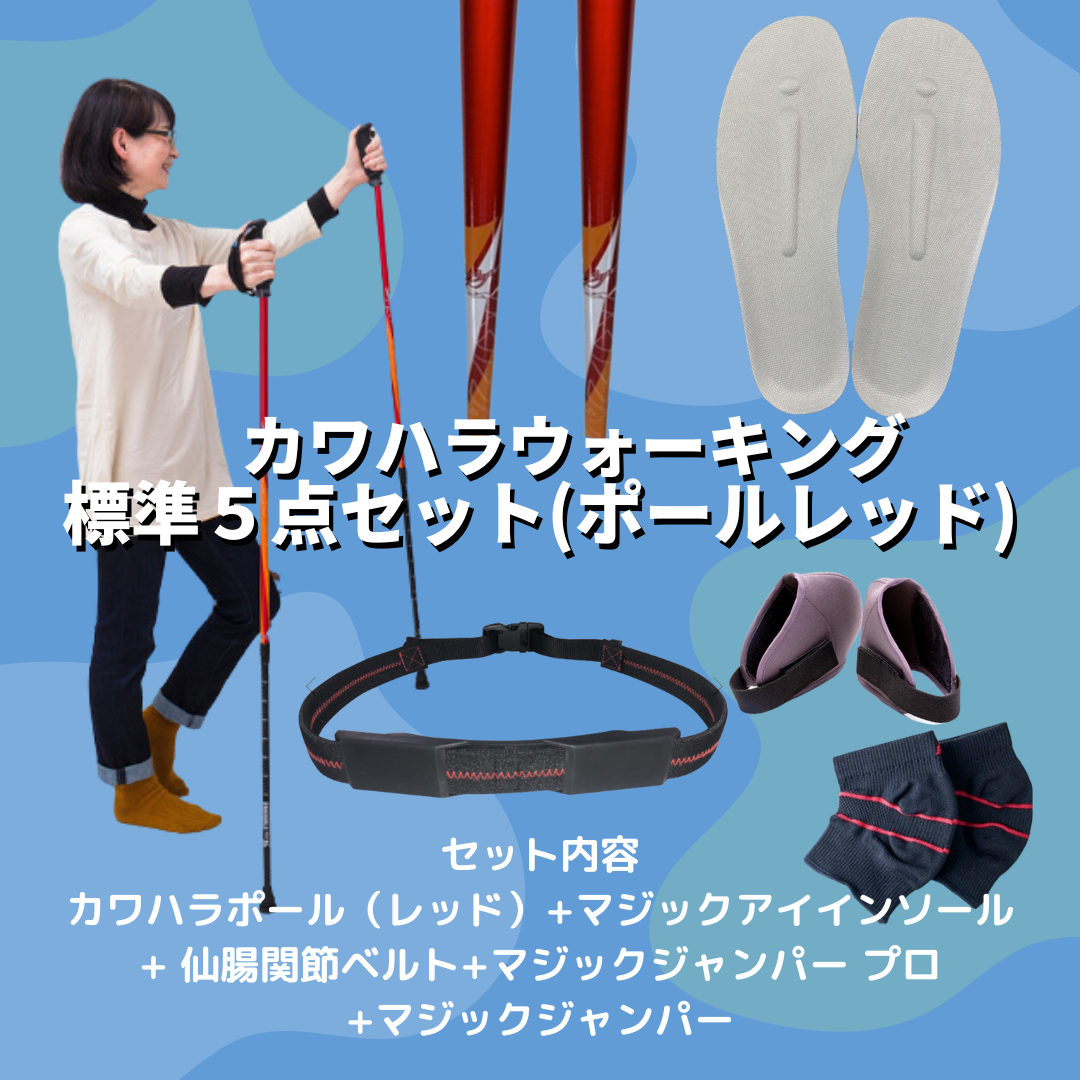 カワハラウォーキング 5点セット top_1.png?crop=center&height=