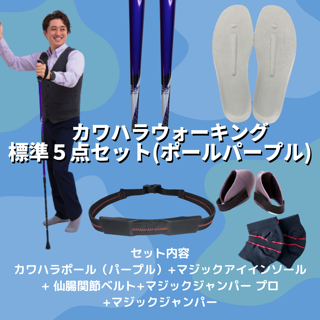 カワハラポール　カワハラウォーキング　紫 5点セット（ポール紫+MJブラック+インソール+プロ+ベルト） – 株